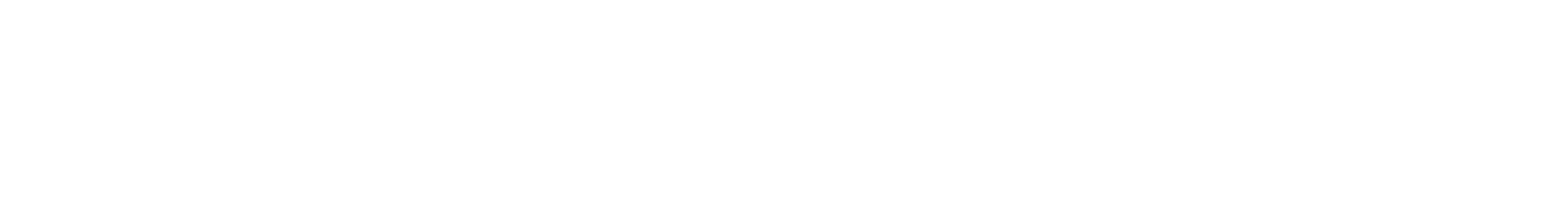 DONGFENG Egypt company logo